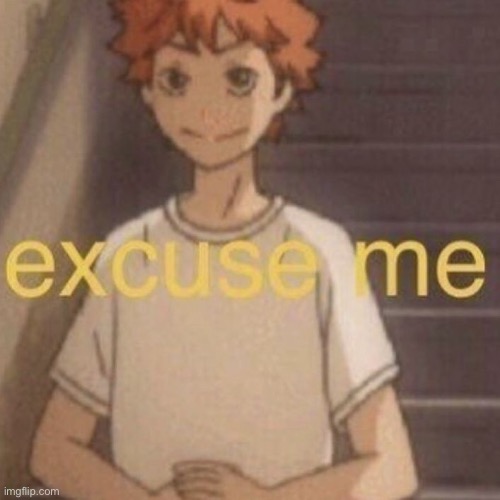 Anime excuse me | image tagged in anime excuse me | made w/ Imgflip meme maker