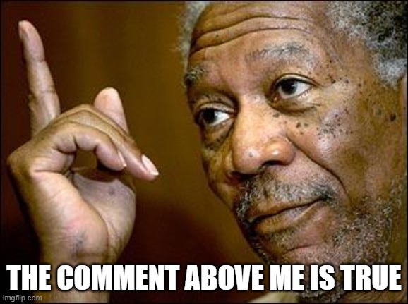 This Morgan Freeman | THE COMMENT ABOVE ME IS TRUE | image tagged in this morgan freeman | made w/ Imgflip meme maker