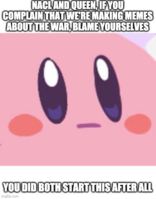 So stop whining and keep punching each other for as long as you guys want | NACL AND QUEEN, IF YOU COMPLAIN THAT WE'RE MAKING MEMES ABOUT THE WAR, BLAME YOURSELVES; YOU DID BOTH START THIS AFTER ALL | image tagged in blank kirby face | made w/ Imgflip meme maker