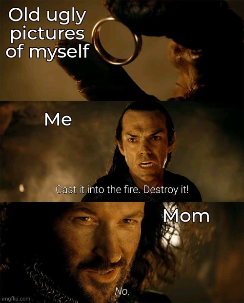 image tagged in memes,fun,lotr,funny | made w/ Imgflip meme maker