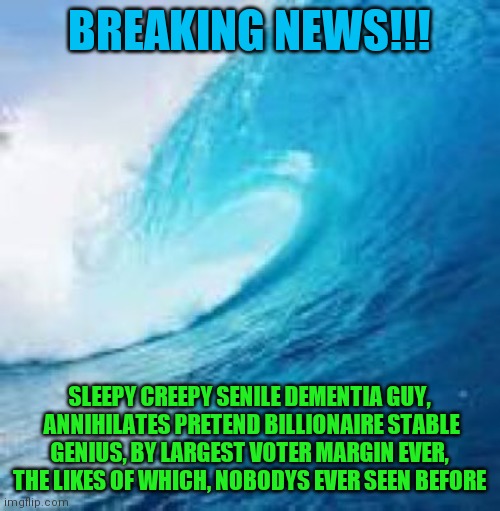 Blue Wave | BREAKING NEWS!!! SLEEPY CREEPY SENILE DEMENTIA GUY,  ANNIHILATES PRETEND BILLIONAIRE STABLE GENIUS, BY LARGEST VOTER MARGIN EVER, THE LIKES OF WHICH, NOBODYS EVER SEEN BEFORE | image tagged in blue wave | made w/ Imgflip meme maker