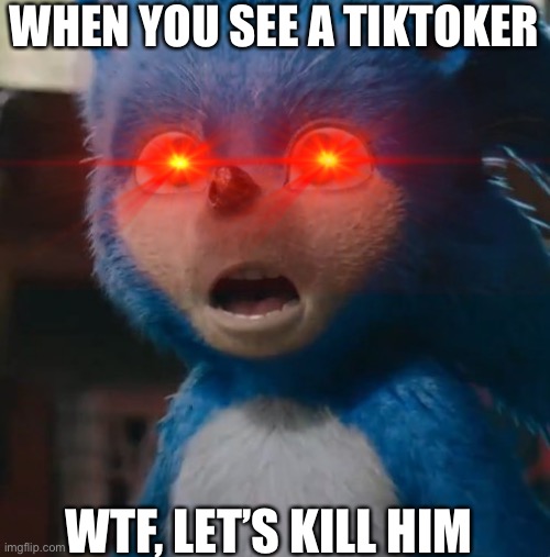 Sonic sees a tiktoker | WHEN YOU SEE A TIKTOKER; WTF, LET’S KILL HIM | image tagged in sonic the hedgehog | made w/ Imgflip meme maker