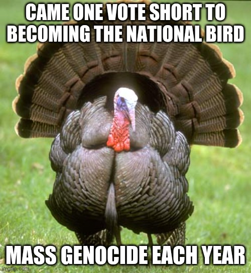Turkey | CAME ONE VOTE SHORT TO BECOMING THE NATIONAL BIRD; MASS GENOCIDE EACH YEAR | image tagged in memes,turkey | made w/ Imgflip meme maker