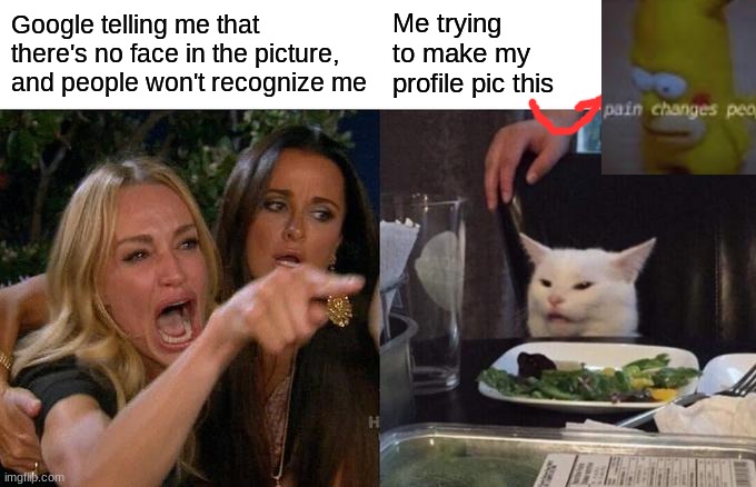 Woman Yelling At Cat | Google telling me that there's no face in the picture, and people won't recognize me; Me trying to make my profile pic this | image tagged in memes,woman yelling at cat | made w/ Imgflip meme maker