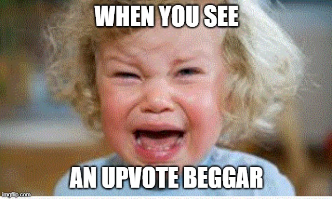 no begging peeps | WHEN YOU SEE; AN UPVOTE BEGGAR | image tagged in memes,meme,no upvote,upvote begging,angry,angry baby | made w/ Imgflip meme maker
