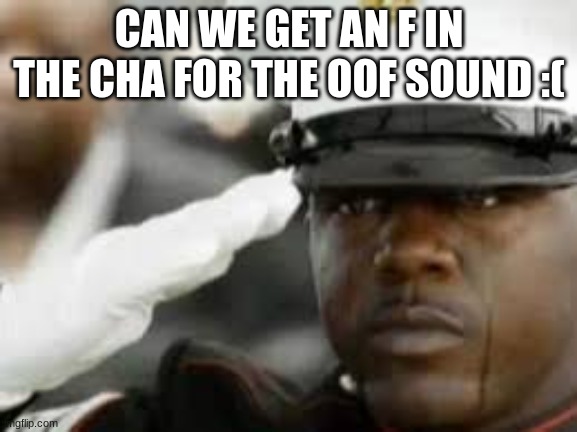 oof typo. | CAN WE GET AN F IN THE CHA FOR THE OOF SOUND :( | image tagged in sad salute | made w/ Imgflip meme maker