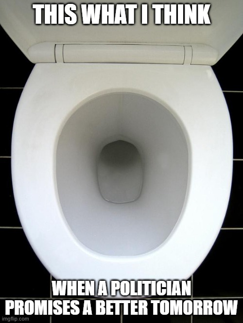 TOILET | THIS WHAT I THINK; WHEN A POLITICIAN PROMISES A BETTER TOMORROW | image tagged in toilet | made w/ Imgflip meme maker