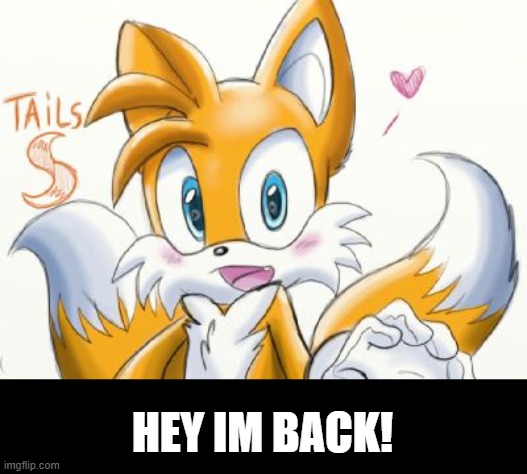 yay! | HEY IM BACK! | image tagged in sonic the hedgehog | made w/ Imgflip meme maker