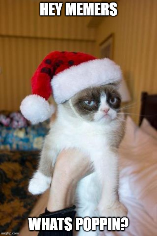 what up? | HEY MEMERS; WHATS POPPIN? | image tagged in memes,grumpy cat,merry christmas,what the hell happened here,lockdown,wtf | made w/ Imgflip meme maker