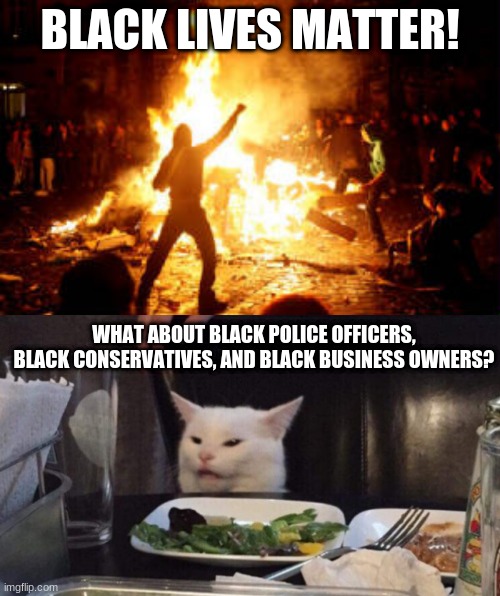 bruh | BLACK LIVES MATTER! WHAT ABOUT BLACK POLICE OFFICERS, BLACK CONSERVATIVES, AND BLACK BUSINESS OWNERS? | image tagged in anarchy riot,bruh moment,cats,conservatives,blm | made w/ Imgflip meme maker