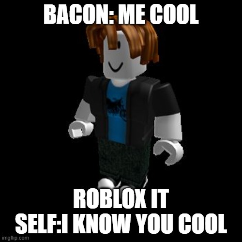 ROBLOX Meme | BACON: ME COOL; ROBLOX IT SELF:I KNOW YOU COOL | image tagged in roblox meme | made w/ Imgflip meme maker