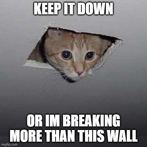 you heard him, keep it down | KEEP IT DOWN; OR IM BREAKING MORE THAN THIS WALL | image tagged in memes,ceiling cat,keep it down | made w/ Imgflip meme maker