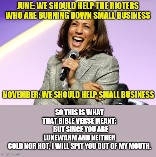 Flip-flop party is at it again!?!? Ugh.... | JUNE: WE SHOULD HELP THE RIOTERS WHO ARE BURNING DOWN SMALL BUSINESS; SO THIS IS WHAT THAT BIBLE VERSE MEANT:   BUT SINCE YOU ARE LUKEWARM AND NEITHER COLD NOR HOT, I WILL SPIT YOU OUT OF MY MOUTH. NOVEMBER: WE SHOULD HELP SMALL BUSINESS | image tagged in camel-la,democrats | made w/ Imgflip meme maker
