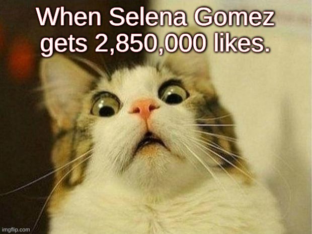 Upvote This Selena Gomez Meme For Cats (please do it) | When Selena Gomez gets 2,850,000 likes. | image tagged in whenselenagomezgets2850000likes | made w/ Imgflip meme maker