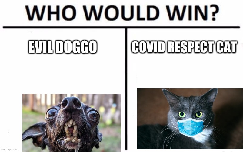 uhhhhhhh u guys tell meh | EVIL DOGGO; COVID RESPECT CAT | image tagged in memes,who would win | made w/ Imgflip meme maker