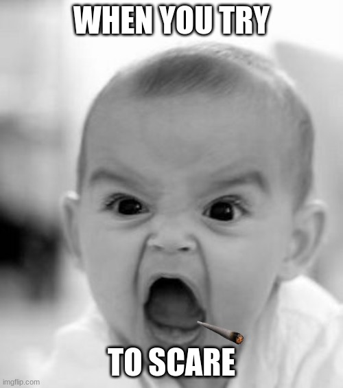 baby | WHEN YOU TRY; TO SCARE | image tagged in memes,angry baby | made w/ Imgflip meme maker