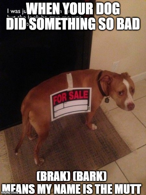 owner hates dogs | WHEN YOUR DOG DID SOMETHING SO BAD; (BRAK) (BARK) MEANS MY NAME IS THE MUTT | image tagged in dogs | made w/ Imgflip meme maker