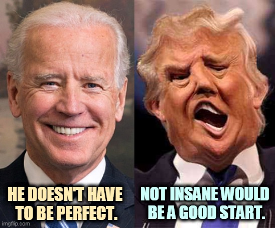 Things are improving already. | NOT INSANE WOULD 
BE A GOOD START. HE DOESN'T HAVE 
TO BE PERFECT. | image tagged in joe biden together donald trump coming apart,biden,mental health,trump,insane | made w/ Imgflip meme maker