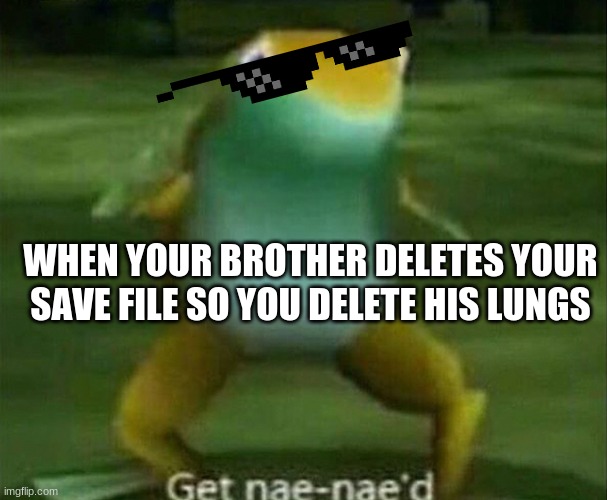 ultimate nae | WHEN YOUR BROTHER DELETES YOUR SAVE FILE SO YOU DELETE HIS LUNGS | image tagged in get nae-nae'd,memes | made w/ Imgflip meme maker