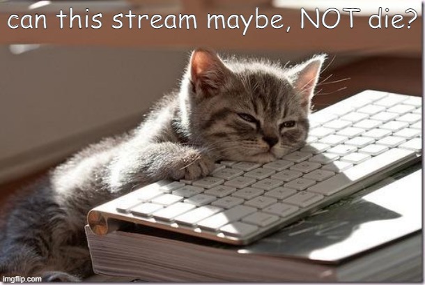 Bored Keyboard Cat | can this stream maybe, NOT die? | image tagged in bored keyboard cat | made w/ Imgflip meme maker