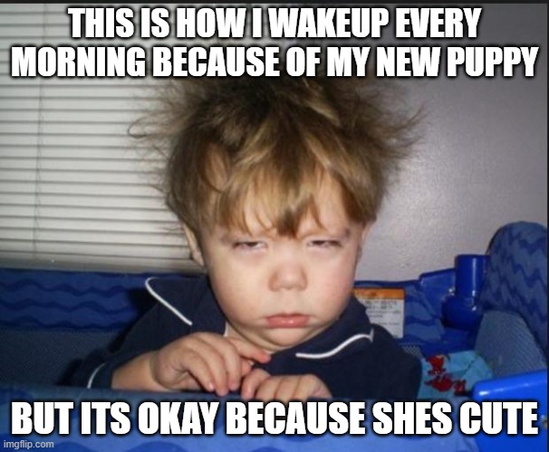 basically | THIS IS HOW I WAKEUP EVERY MORNING BECAUSE OF MY NEW PUPPY; BUT ITS OKAY BECAUSE SHES CUTE | image tagged in tired child | made w/ Imgflip meme maker