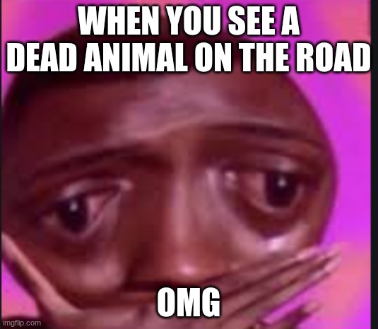 WHEN YOU SEE A DEAD ANIMAL ON THE ROAD; OMG | image tagged in memes | made w/ Imgflip meme maker