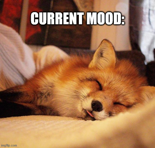 Sleepy Fox | CURRENT MOOD: | image tagged in fox,cute animals,funny animals,foxes,sleepy,nap | made w/ Imgflip meme maker