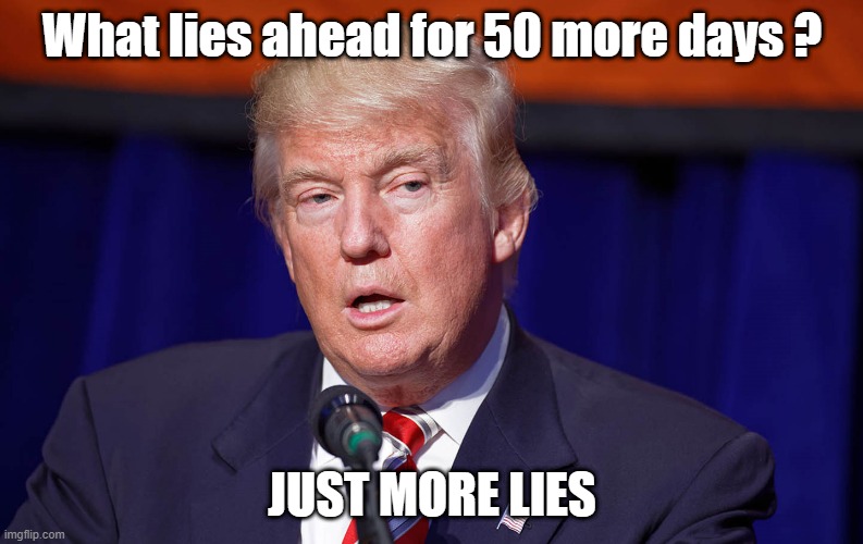 lie lie | What lies ahead for 50 more days ? JUST MORE LIES | image tagged in donald trump | made w/ Imgflip meme maker