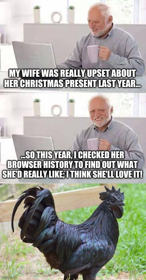 Christmas Shopping Done Easy | MY WIFE WAS REALLY UPSET ABOUT HER CHRISTMAS PRESENT LAST YEAR... ...SO THIS YEAR, I CHECKED HER BROWSER HISTORY TO FIND OUT WHAT SHE'D REALLY LIKE; I THINK SHE'LL LOVE IT! | image tagged in memes,hide the pain harold | made w/ Imgflip meme maker