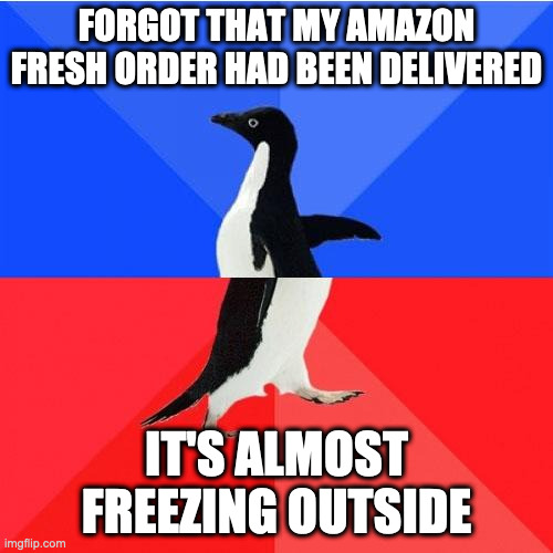 Socially Awkward Awesome Penguin |  FORGOT THAT MY AMAZON FRESH ORDER HAD BEEN DELIVERED; IT'S ALMOST FREEZING OUTSIDE | image tagged in memes,socially awkward awesome penguin,AdviceAnimals | made w/ Imgflip meme maker