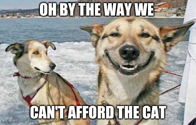 BWAHAHAHAHA |  OH BY THE WAY WE; CAN'T AFFORD THE CAT | image tagged in memes,original stoner dog | made w/ Imgflip meme maker