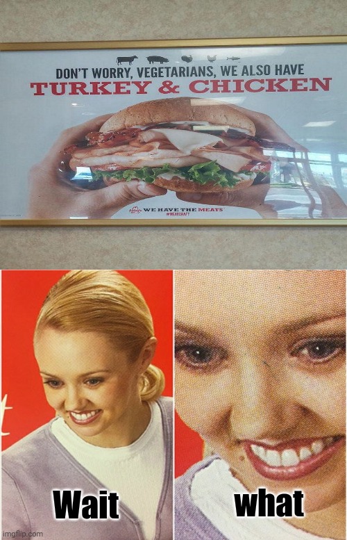 Arby's sandwich | Wait; what | image tagged in wait what,task failed successfully,memes,funny,you had one job,arby's | made w/ Imgflip meme maker