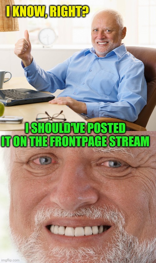 I KNOW, RIGHT? I SHOULD'VE POSTED IT ON THE FRONTPAGE STREAM | image tagged in hide the pain harold | made w/ Imgflip meme maker