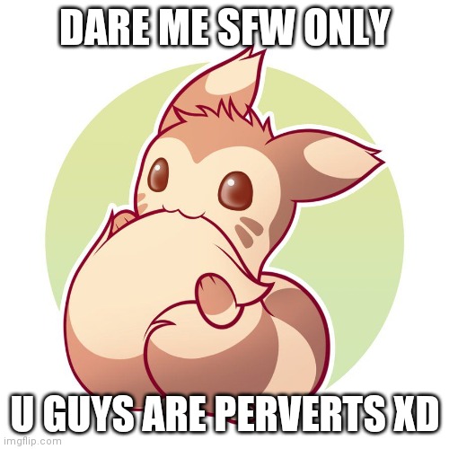 Cute ferret | DARE ME SFW ONLY; U GUYS ARE PERVERTS XD | image tagged in cute ferret | made w/ Imgflip meme maker