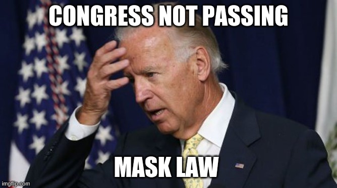 Joe Biden worries | CONGRESS NOT PASSING; MASK LAW | image tagged in joe biden worries | made w/ Imgflip meme maker
