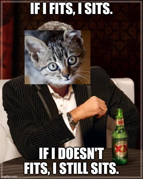 The Most Interesting Man In The World Meme | IF I FITS, I SITS. IF I DOESN'T FITS, I STILL SITS. | image tagged in memes,the most interesting man in the world | made w/ Imgflip meme maker