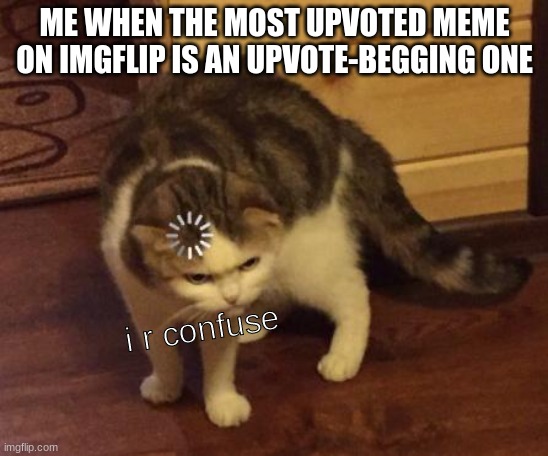 hmm | ME WHEN THE MOST UPVOTED MEME ON IMGFLIP IS AN UPVOTE-BEGGING ONE; i r confuse | image tagged in cat | made w/ Imgflip meme maker