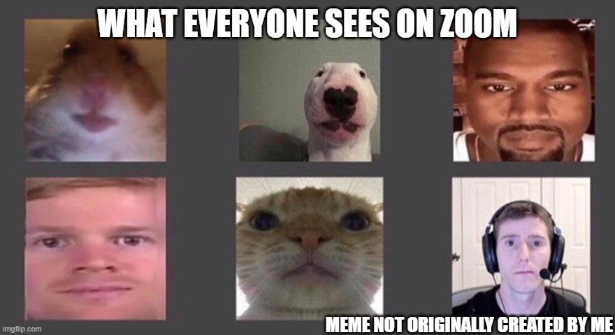 What everyone sees on zoom | WHAT EVERYONE SEES ON ZOOM; MEME NOT ORIGINALLY CREATED BY ME | image tagged in zoom,online school,dank memes | made w/ Imgflip meme maker