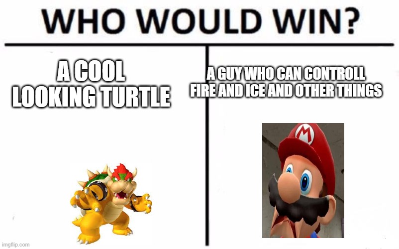 Who Would Win? | A GUY WHO CAN CONTROLL FIRE AND ICE AND OTHER THINGS; A COOL LOOKING TURTLE | image tagged in memes,who would win | made w/ Imgflip meme maker