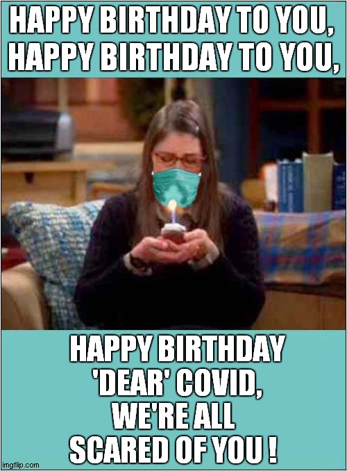 Covid Anniversary ? | HAPPY BIRTHDAY TO YOU, HAPPY BIRTHDAY TO YOU, HAPPY BIRTHDAY 'DEAR' COVID, WE'RE ALL SCARED OF YOU ! | image tagged in fun,covid,one year anniversary,happy birthday | made w/ Imgflip meme maker