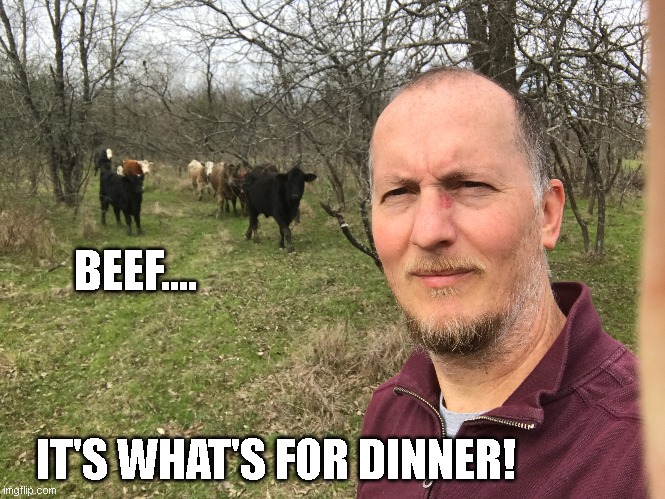 Beef....it's what's for dinner! | BEEF.... IT'S WHAT'S FOR DINNER! | image tagged in beef,cow,steak dinner,texas,food,outdoors | made w/ Imgflip meme maker