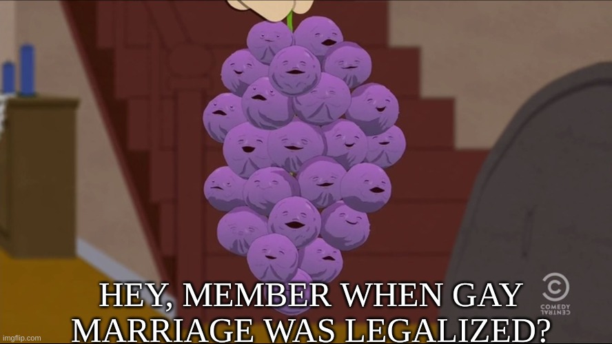 I member! | HEY, MEMBER WHEN GAY MARRIAGE WAS LEGALIZED? | image tagged in memes,member berries,lgbtq,gay marriage | made w/ Imgflip meme maker