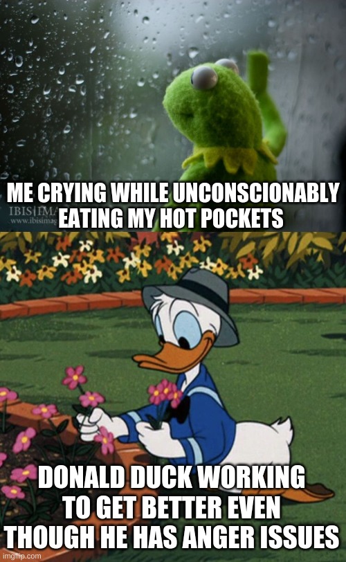ME CRYING WHILE UNCONSCIONABLY EATING MY HOT POCKETS; DONALD DUCK WORKING TO GET BETTER EVEN THOUGH HE HAS ANGER ISSUES | image tagged in kermit window,donald duck | made w/ Imgflip meme maker