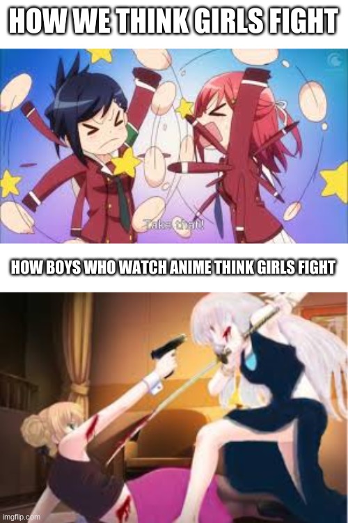 girl fight |  HOW WE THINK GIRLS FIGHT; HOW BOYS WHO WATCH ANIME THINK GIRLS FIGHT | image tagged in anime girl fight,anime,fight | made w/ Imgflip meme maker