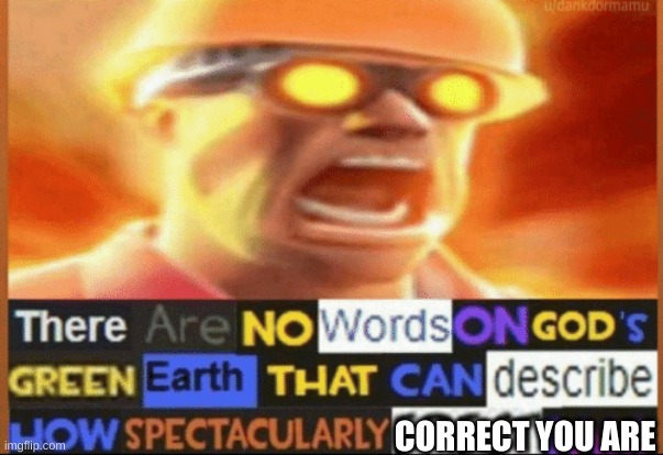 there are no words on god's green earth | CORRECT YOU ARE | image tagged in there are no words on god's green earth | made w/ Imgflip meme maker