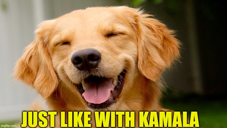 Laughing Dog | JUST LIKE WITH KAMALA | image tagged in laughing dog | made w/ Imgflip meme maker