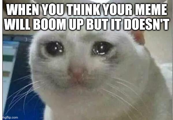 crying cat | WHEN YOU THINK YOUR MEME WILL BOOM UP BUT IT DOESN'T | image tagged in crying cat | made w/ Imgflip meme maker