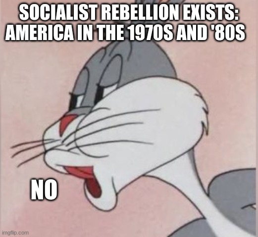 Buggs bunny No | SOCIALIST REBELLION EXISTS:
AMERICA IN THE 1970S AND '80S; NO | image tagged in buggs bunny no | made w/ Imgflip meme maker
