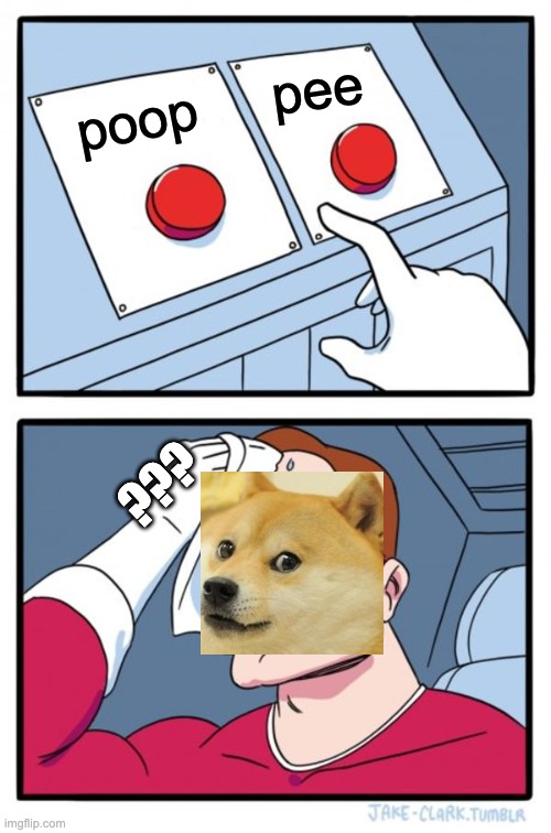 Two Buttons Meme | pee; poop; ??? | image tagged in memes,two buttons | made w/ Imgflip meme maker
