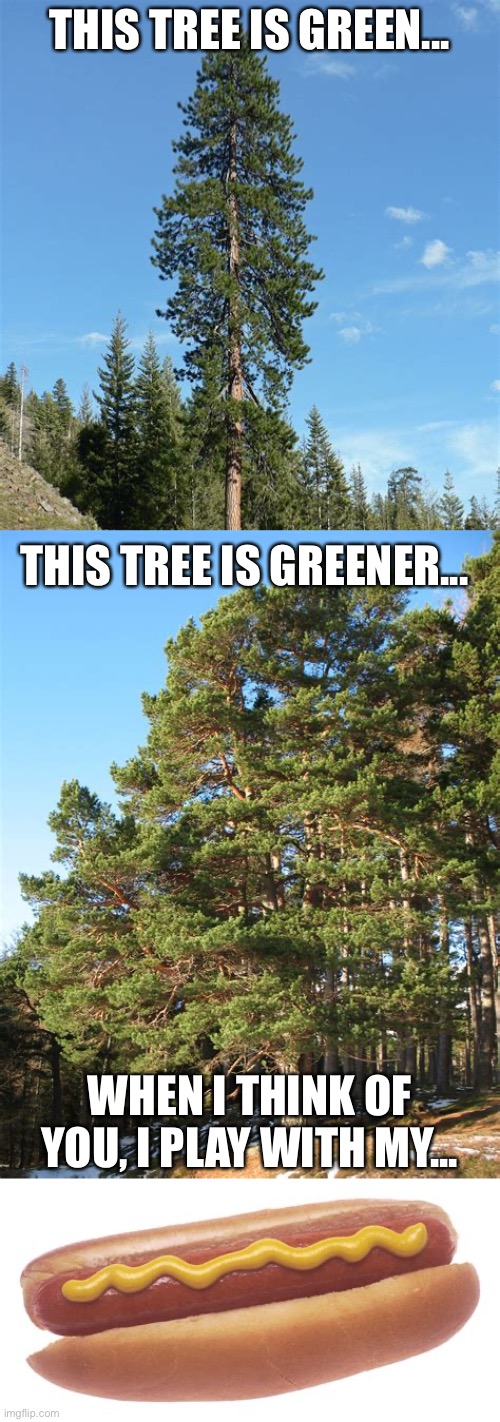 What’s another word for hot dog? I’ll give you a hint: Oscar Meyer... | THIS TREE IS GREEN... THIS TREE IS GREENER... WHEN I THINK OF YOU, I PLAY WITH MY... | image tagged in hot dog,tree,pickup lines | made w/ Imgflip meme maker